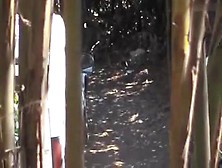 Hidden Cam - Woods 6