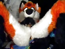 Fursuit