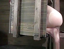 Maledoms Ass Play With Fetish Box Slut